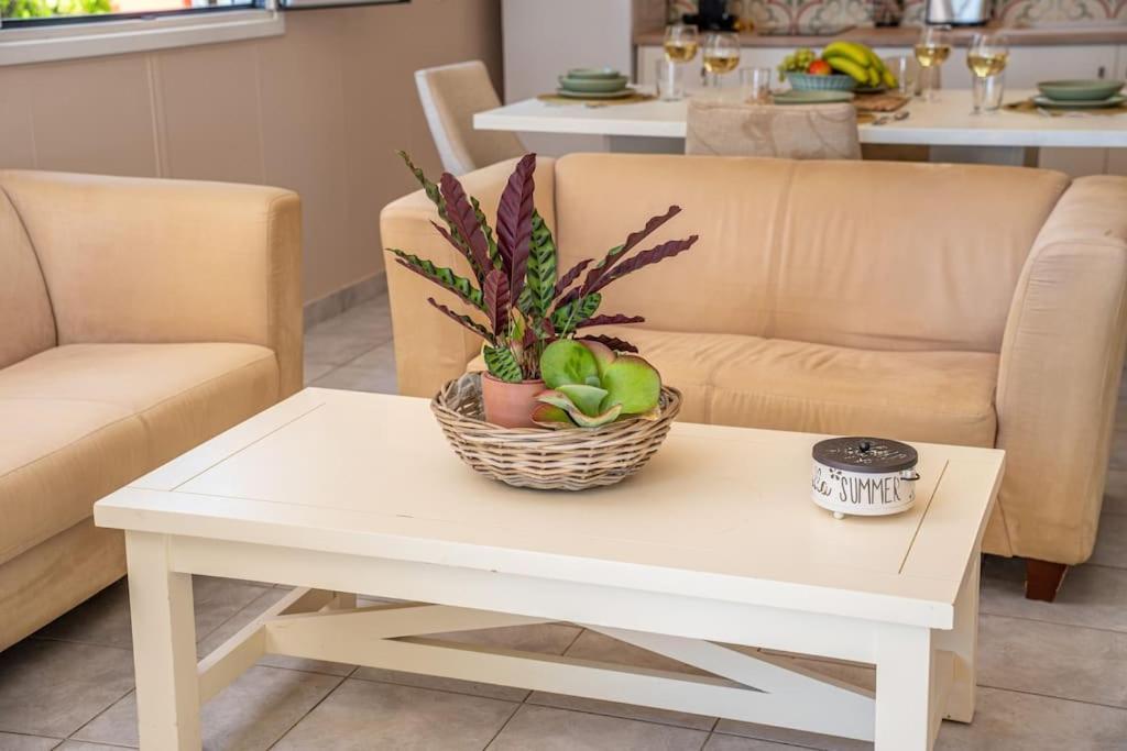 Gaia Residences With Lush Garden And Pool Argostoli (Kefalonia)